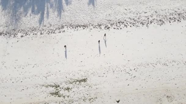 Zanzibar, Tanzania: Mensen spelen voetbal op het strand, slow motion — Stockvideo