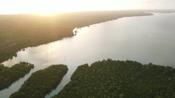 Spessore sulla costa dell'isola di Zanzibar, Tanzania, rallentatore — Video Stock