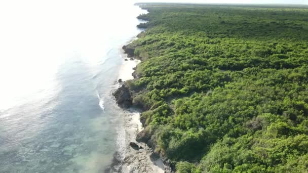 Tanzanya 'nın Zanzibar adasının kıyısındaki çalılıklar, ağır çekim — Stok video