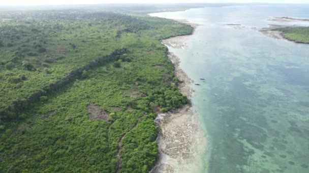 Buissons sur la côte de l'île de Zanzibar, Tanzanie, ralenti — Video