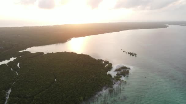 Tanzanya 'nın Zanzibar adasının kıyısındaki çalılıklar, ağır çekim — Stok video