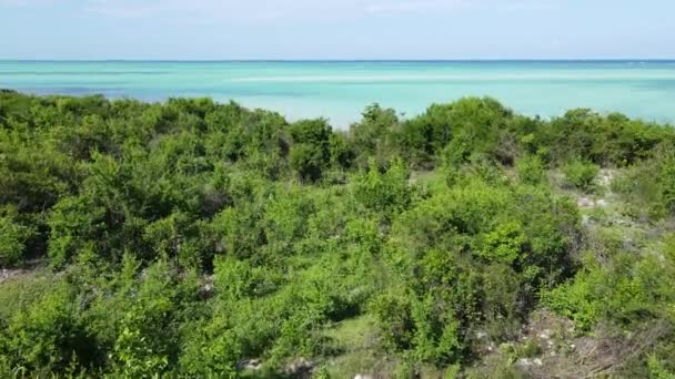坦桑尼亚桑给巴尔岛海岸的灌木丛，缓慢运动 — 图库视频影像