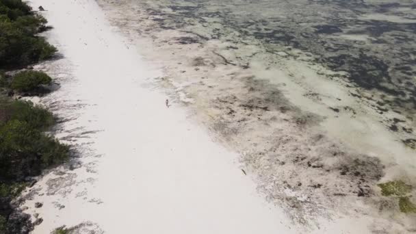 Μοναχική γυναίκα περπατά στην παραλία σε χαμηλή παλίρροια χαμηλή παλίρροια στη Ζανζιβάρη, αργή κίνηση — Αρχείο Βίντεο