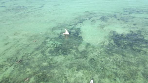 Bateau dans l'océan près de la côte de Zanzibar, Tanzanie, ralenti — Video