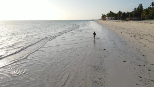 Eenzame vrouw wandelen op het strand bij eb laagwater in Zanzibar, slow motion — Stockvideo