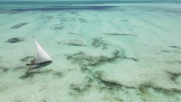 Barcos no oceano perto da costa de Zanzibar, Tanzânia, câmera lenta — Vídeo de Stock