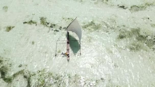 탄자니아 잔지바르 해안 근처의 바다 속에서 서서히 움직 이는 배들 — 비디오