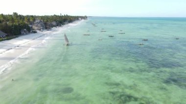 Tanzanya 'nın Zanzibar kıyısındaki tekneler ağır çekimde