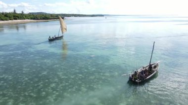 Tanzanya 'nın Zanzibar kıyısındaki tekneler ağır çekimde
