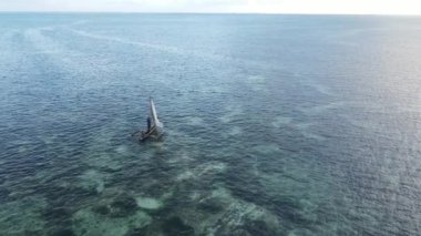 Tanzanya 'nın Zanzibar kıyısındaki tekneler ağır çekimde