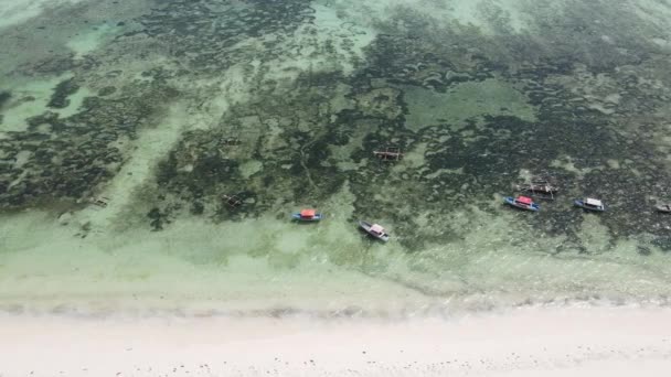 Boote im Meer vor der Küste von Sansibar, Tansania, Zeitlupe — Stockvideo