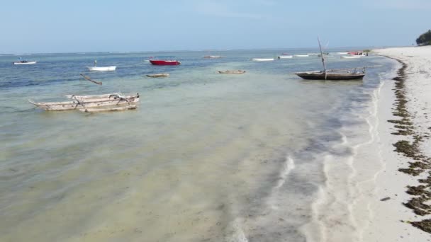 Tanzanya 'nın Zanzibar kıyısındaki tekneler ağır çekimde — Stok video