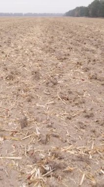 Sonbaharda tarla sürmüş bir arazinin dikey videosu, yavaş çekim