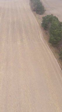 Sonbaharda tarla sürmüş bir arazinin dikey videosu, yavaş çekim