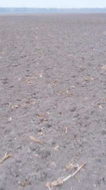 Sonbaharda tarla sürmüş bir arazinin dikey videosu, yavaş çekim
