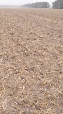 Sonbaharda tarla sürmüş bir arazinin dikey videosu, yavaş çekim