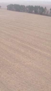 Sonbaharda tarla sürmüş bir arazinin dikey videosu, yavaş çekim