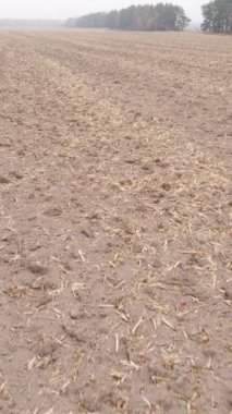 Sonbaharda tarla sürmüş bir arazinin dikey videosu, yavaş çekim