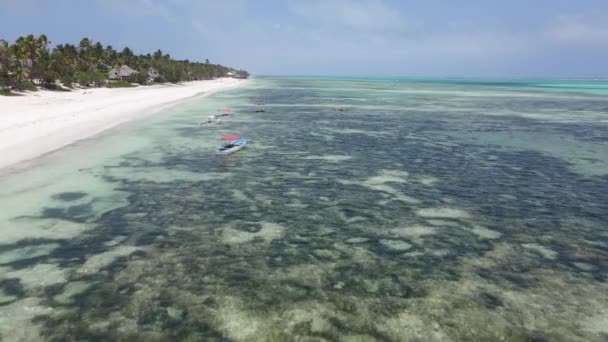 Barche nell'oceano vicino alla costa di Zanzibar, Tanzania, slow motion — Video Stock