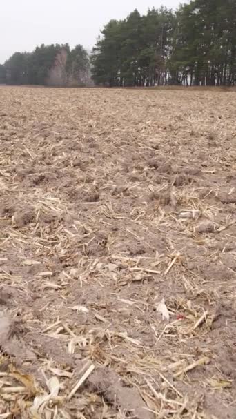 Vídeo vertical de un campo con tierra arada en otoño, cámara lenta — Vídeos de Stock