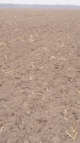 Verticale video van een veld met geploegd land in de herfst, slow motion — Stockvideo