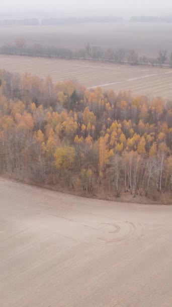 秋の耕作地の垂直ビデオ、スローモーション — ストック動画