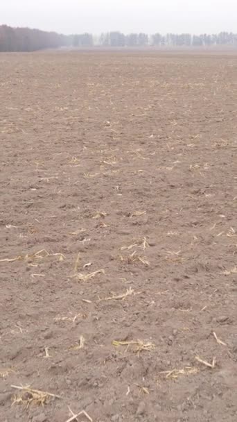 Vídeo vertical de un campo con tierra arada en otoño, cámara lenta — Vídeos de Stock