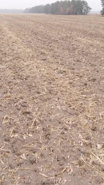 Vídeo vertical de un campo con tierra arada en otoño, cámara lenta — Vídeos de Stock