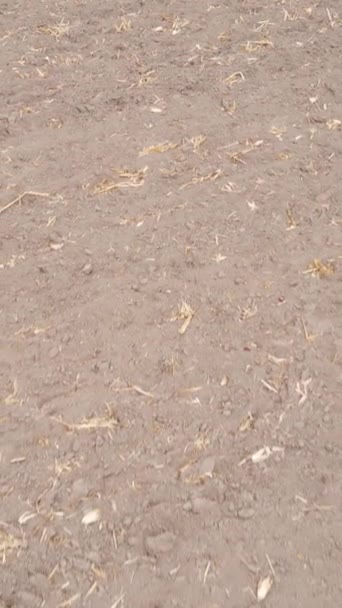Video verticale di un campo con terra arata in autunno, rallentatore — Video Stock