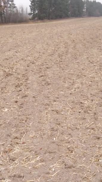 Vertikal video av ett fält med plöjd mark på hösten, slow motion — Stockvideo