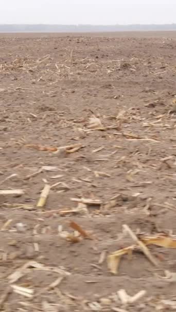 Vidéo verticale d'un champ labouré en automne, ralenti — Video