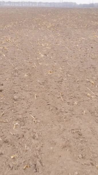 Vídeo vertical de un campo con tierra arada en otoño, cámara lenta — Vídeo de stock