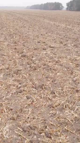Vertikal video av ett fält med plöjd mark på hösten, slow motion — Stockvideo