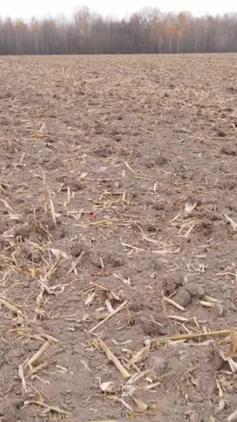 秋の耕作地の垂直ビデオ、スローモーション — ストック動画