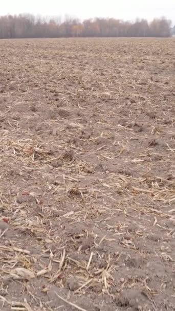 Vídeo vertical de um campo com terra arada no outono, câmera lenta — Vídeo de Stock