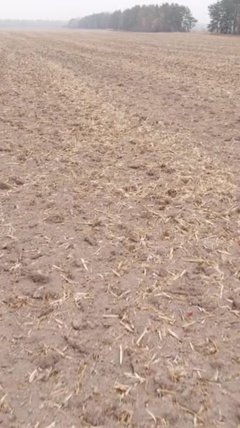 Vídeo vertical de un campo con tierra arada en otoño, cámara lenta — Vídeos de Stock