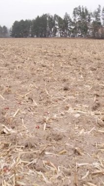 Sonbaharda tarla sürmüş bir arazinin dikey videosu, yavaş çekim