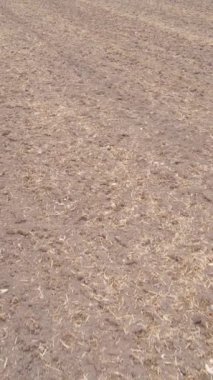 Sonbaharda tarla sürmüş bir arazinin dikey videosu, yavaş çekim