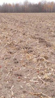 Sonbaharda tarla sürmüş bir arazinin dikey videosu, yavaş çekim