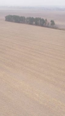 Sonbaharda tarla sürmüş bir arazinin dikey videosu, yavaş çekim