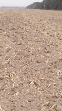 Sonbaharda tarla sürmüş bir arazinin dikey videosu, yavaş çekim