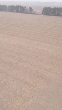 Sonbaharda tarla sürmüş bir arazinin dikey videosu, yavaş çekim