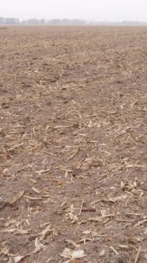 Sonbaharda tarla sürmüş bir arazinin dikey videosu, yavaş çekim