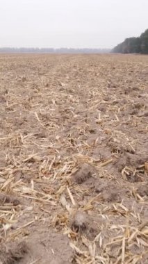 Sonbaharda tarla sürmüş bir arazinin dikey videosu, yavaş çekim