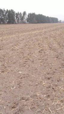 Sonbaharda tarla sürmüş bir arazinin dikey videosu, yavaş çekim