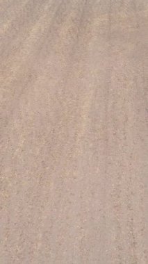 Sonbaharda tarla sürmüş bir arazinin dikey videosu, yavaş çekim