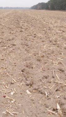 Sonbaharda tarla sürmüş bir arazinin dikey videosu, yavaş çekim