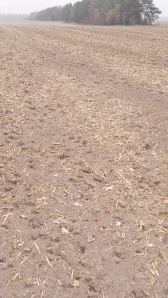 Vídeo vertical de un campo con tierra arada en otoño, cámara lenta — Vídeos de Stock
