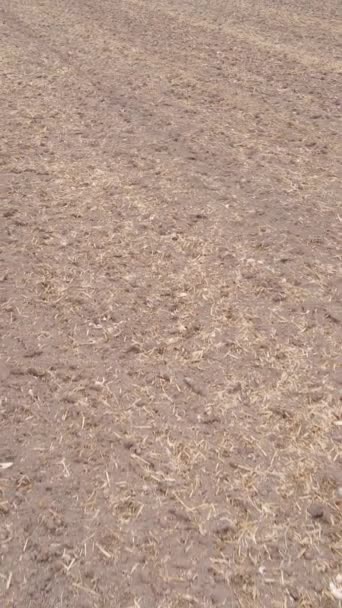 Videoclip vertical al unui câmp cu teren arat în toamnă, mișcare lentă — Videoclip de stoc