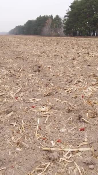 Vídeo vertical de un campo con tierra arada en otoño, cámara lenta — Vídeo de stock